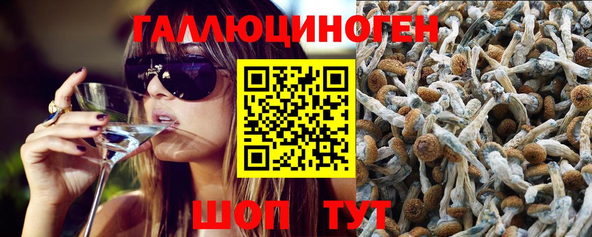 Псилоцибиновые грибы Psilocybe Заволжье