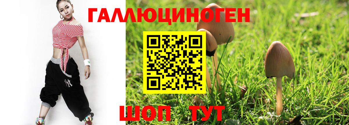 как найти закладки  Вход с VPN  Заволжье  Псилоцибиновые грибы мухоморы 